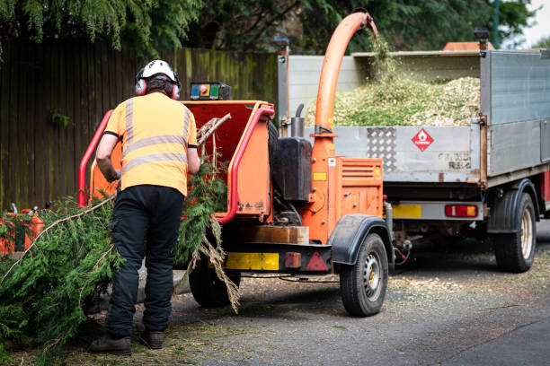 Best Grass Overseeding  in Long Hill, CT