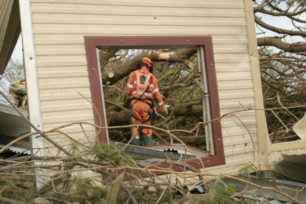 Best Hazardous Tree Removal  in Long Hill, CT